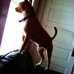 Latanya Smith - @latanya6254 - Instagram
