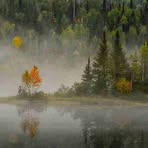 Latasha Daugherty - Facebook