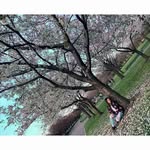 Latasha Fields - @latashafields23 - Instagram
