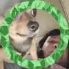 Latasha Holmes - @latasha.holmes4 - TikTok