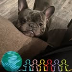 Latasha Mitchell - @boots_mitchell - Instagram