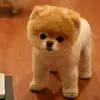latasha.varice - @latasha.varice - TikTok