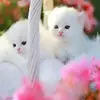 Latha Kumar - @lathakumar4 - TikTok