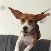 la_TiaBrown - @la_tiabrown - TikTok