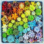 Latisha Hardy Dance - @thedancingprismproject - Instagram
