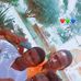 Markson Lwisha - Facebook