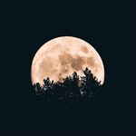 Latishamoon - @moontisha20 - Instagram