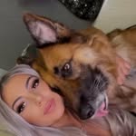 🐾 Latisha 🐾 - @latisha_the_german_shepherd - Instagram