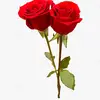 Latisha Tolbert - @latisha.tolbert3 - TikTok