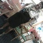 Latisha Willis - @willislatisha - Instagram