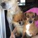 Latonya Stone May - Facebook