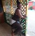Latoya Archer - Facebook