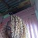 Latoya Brady - Facebook