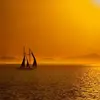 Latoya latrece epps - @ws5401 - TikTok