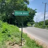 Toyz - @latoyahibbert32 - TikTok