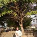 Wayani Latoni - Facebook