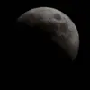 Latoya.Wolf - @uniquabwdjg - TikTok