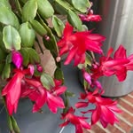 Latrelle Johnson - @latrelle.johnson.1 - Instagram