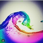 Latrelle smith - @latrellesmith - Instagram