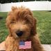 Gregory Trice - Facebook