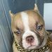 Latroy Lewis - Facebook