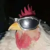 ♠️🐓♥️LAURA.15.AARON♥️🐓♠️ - @girly.14.lolly - TikTok