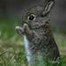 Laura Abrahamson - Facebook