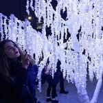 Laura Abramson - @lauraabramson280 - Instagram