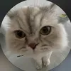 laura - @lauraalth - TikTok