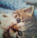Lori Allshouse - Facebook
