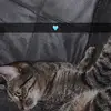 L🌙 - @laura_amore1 - TikTok