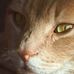 Laura Andreoli - Facebook