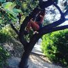 laurandreoli - @laurandreoli - TikTok