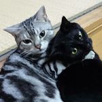 K.M - @laura.apple - Instagram