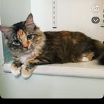Laura (Apple) 🍎 - @laura.apple.the.official.site - Instagram