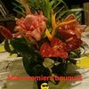laurarato - @laura.rato46 - TikTok