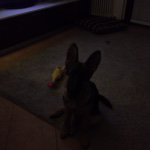 @ardito_laura - Instagram