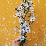 Laura Arp - @_im_that_one_artist_ - Instagram
