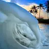laurabackus573 - @laurabackus573 - TikTok