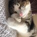 Laura Bader - Facebook