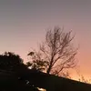 laura_bakos - @laura_bakos - TikTok