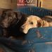 Laura Bale - Facebook