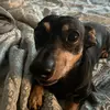 laurabaratta251 - @laurabaratta251 - TikTok