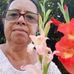 Laura Barcelos - Facebook