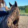 larabarnhouse - @larabarnhouse - TikTok