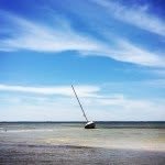 Laura Barrick Floyd - @lbnc1 - Instagram