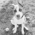 Laura Bartkowiak - @bartkowiak107 - Instagram