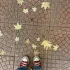 🤎 - @laura.basil3 - TikTok