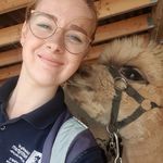 laura_beesley - @laura_beesley - Instagram