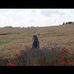 Laura Behrendt - Facebook